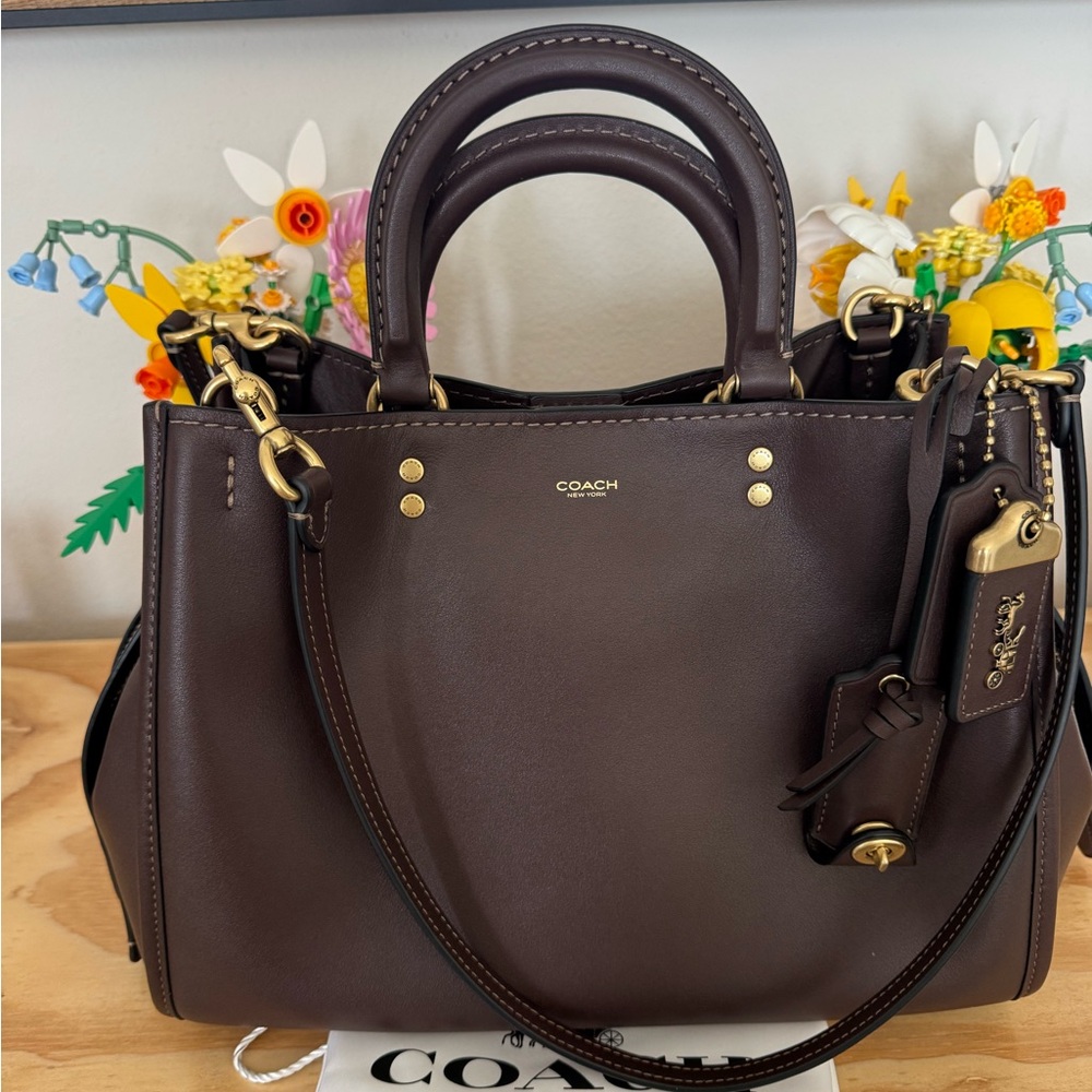 Coach Rogue 31 in Maple